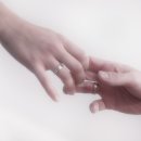 다섯손가락 이미지