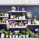 경주농협 로컬푸드직매장 용황점