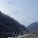 리버펜션 | 홍천 리버트리펜션 여행 후기 - 강뷰와 캠프파이어, 반려견과 함께한 하루