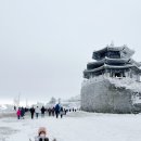 가족호텔 해바라기동 이미지