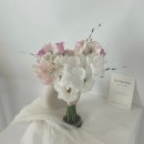 [Wedding] 웨딩촬영 가성비 부케 '릴리멜로우' with 무이스튜디오 내돈내산 후기