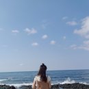모먼츠인하도 | 💙 [제주도 월정리 독채펜션 ] 모먼츠인하도 독채 가족 펜션
