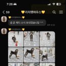 리치펫하우스 이미지