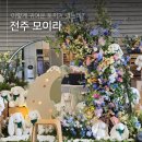 모이라 | 전주 대형카페 모이라 유럽 정원과 마스코트 토끼