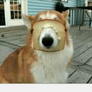 심심풀이