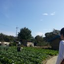 베이비캐슬어린이집 이미지