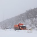 한심목장 티스토리