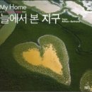 캣츠앤독스 네이버블로그