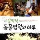 아이숲동물병원 이미지