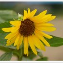 세종공원 이미지