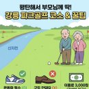 강릉파크골프장 | 강릉 주문진 파크골프장 휴장 정보 모르고 갔다가 부모님께 등짝 맞을 뻔한 후기