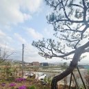 설레임스토리펜션 이미지