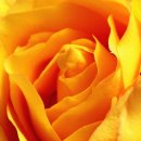 스윗멜로디 이미지