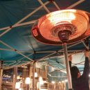 안코비어 이미지