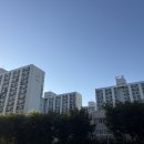 강남수서부동산중개사무소 헤럴드경제