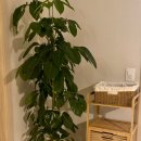 스테이보나 | [연천 펜션] 연천 독채 펜션 감성 펜션 &#39;스테이 온빈&#39;