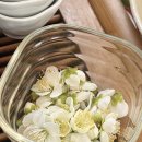 나무의노래 | 나무의 노래