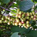 유경 농장 이미지