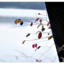 감사교육원 이미지