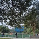 [야간]요가B반 | [네팔] 4. 히피들의 성지, 포카라