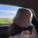 호텔피에드수성 이미지