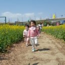 대저어린이집 이미지