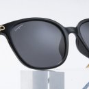 눈 옵티컬 이미지