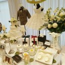 마메르시 이미지