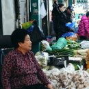 죽도시장 이미지