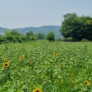 연탄4리 이미지