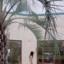 아르아토 이미지