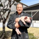 대주 농장 이미지