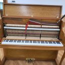 김해구지초등학교 이미지