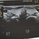 제이미즈 산부인과의원 이미지