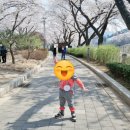 수안보온천길 이미지