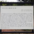 정지운선생묘 이미지