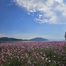 10월15일 해학연의 하루를 열다 이미지