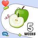 [D+12~D+20 기록] 아기집 ,난황확인,임산부 등록 (임테기 변화,파이널테스트기 쓰리라인 )
