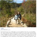 삶 - 관조 이미지