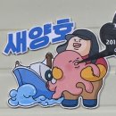 속초활어회맛집, 새양호 횟집 포장 후기 (메뉴,주차,가격)