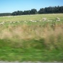 대평원목장 이미지