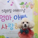 빠숑 이미지