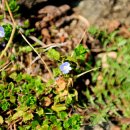 매화민박 이미지