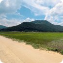 생태예술한옥마을영농조합법인 | [정선여행 추천] 낡은 시간 위에 세워진 감각적인 정선 핫플, 그리고 솔돌마을의 새로운 쉼