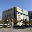 제이팝케어 | 대구 1티어 라멘 맛집 봉산동 멘야라츠 후기