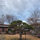 소천월가 이미지