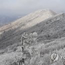 태백산주유소