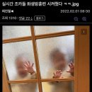동네방구