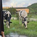 무진목장 이미지