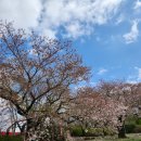 모그린 | 대구 신상 카페 가산수피아 안에 위치한 모하 더 그린하우스 다녀온 후기